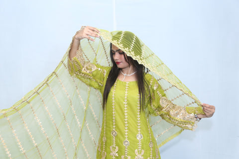 3 Pc Mehandi Green Pure Net Heavy Embroidered Side Border Suit