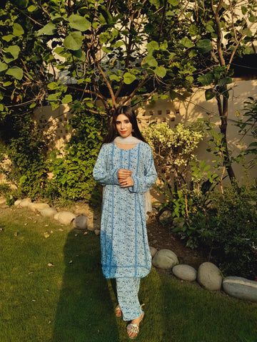 2 Pc Sky Blue Stone Linen Printed Lace Suit