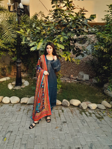 Pure Khaddar with Embroided lace, neckline, sleeves and border